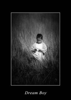 Dream Boy