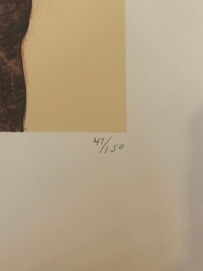Thumbnail: R.C. Gorman, Cholena Lithograph - Edition Number