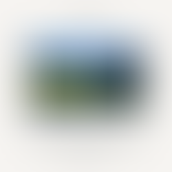 Juventus: dimissioni del Cda e del Presidente controllati da Exor