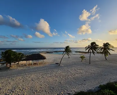 beach bay 5.webp