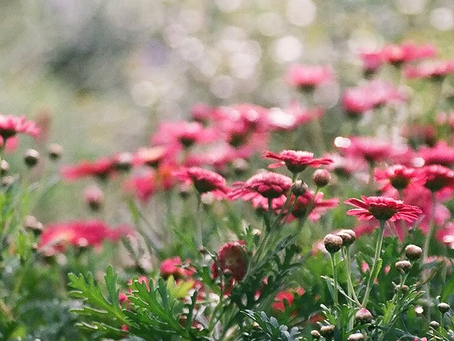 Why Should I Do Transformational Coaching?