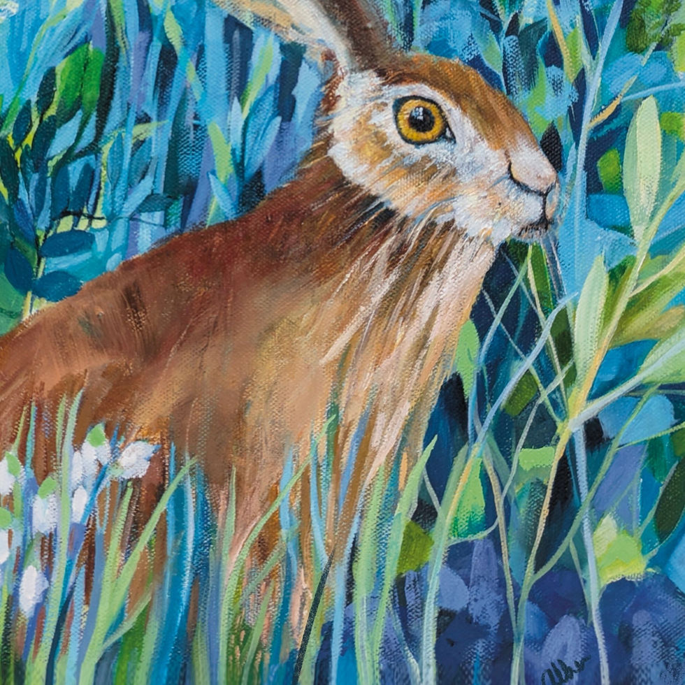 Thumbnail: Brown hare amounts meadow grass wild flowers snow drops