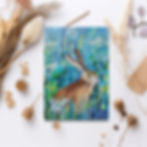 Thumbnail: Hare in meadow of wild flowers