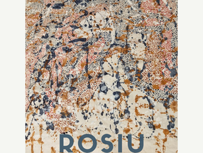 VISITE GUIDÉE DE L'EXPOSITION ROSIU DIMANCHE 25 JANVIER à 11H