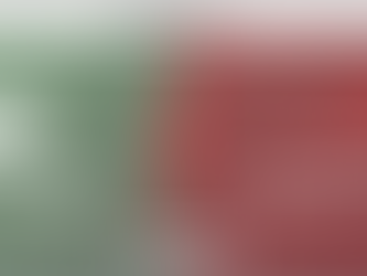 Great ROAS, Zero Growth: What’s Wrong?