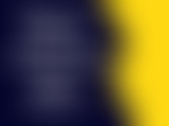 What to Expect from a Top SEO Agency