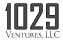 1029ventures logo.png