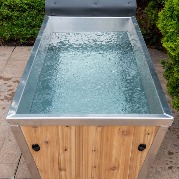 Thumbnail: The Polar Plunge Tub