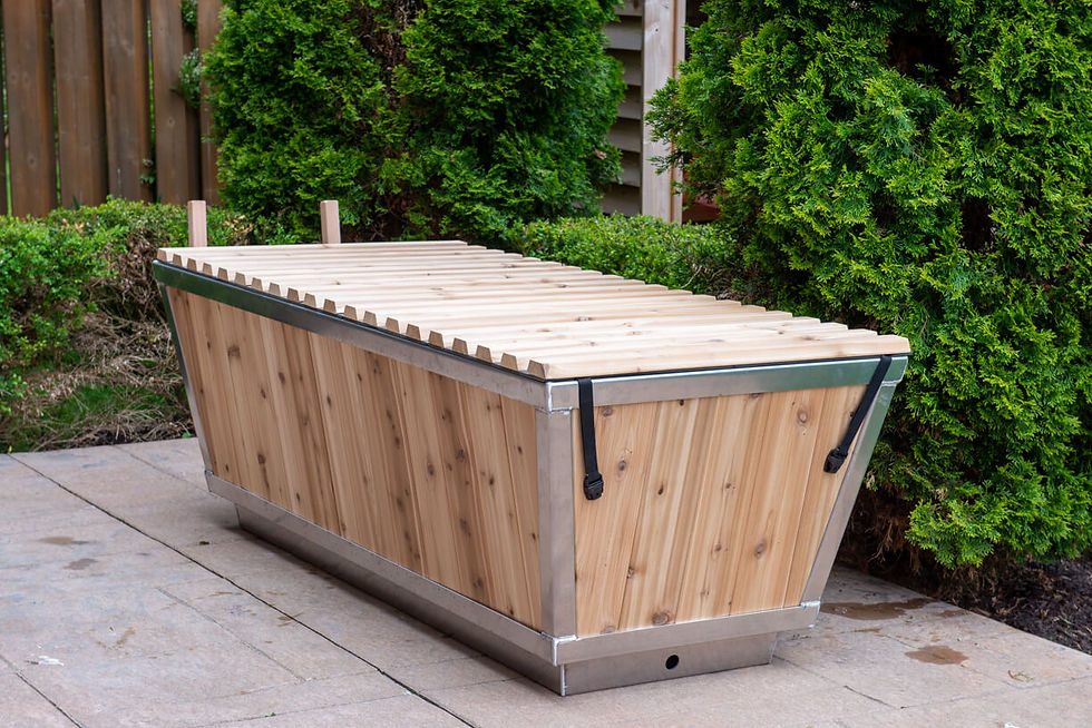 Thumbnail: The Polar Plunge Tub