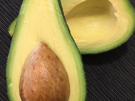 Ettinger Avocado Tree