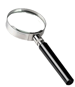 2magnifying-glass.gif