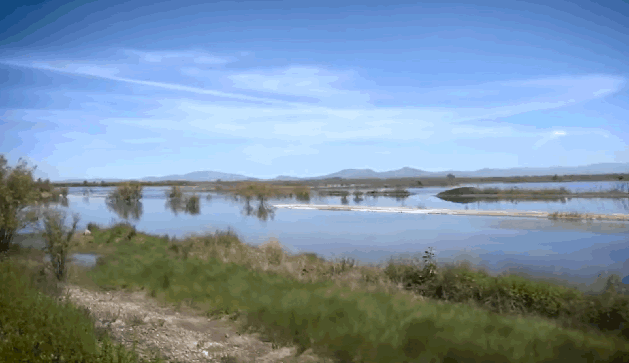 lago-de-texcoco-3.gif
