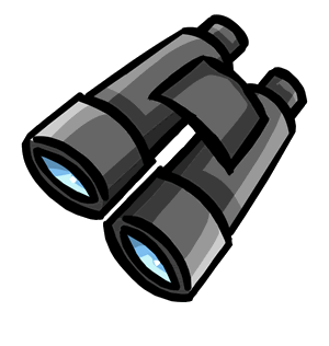 2binocular.gif