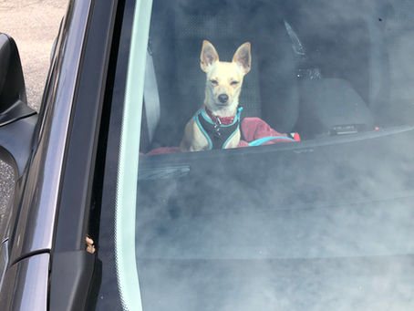 Put the brakes on driving!