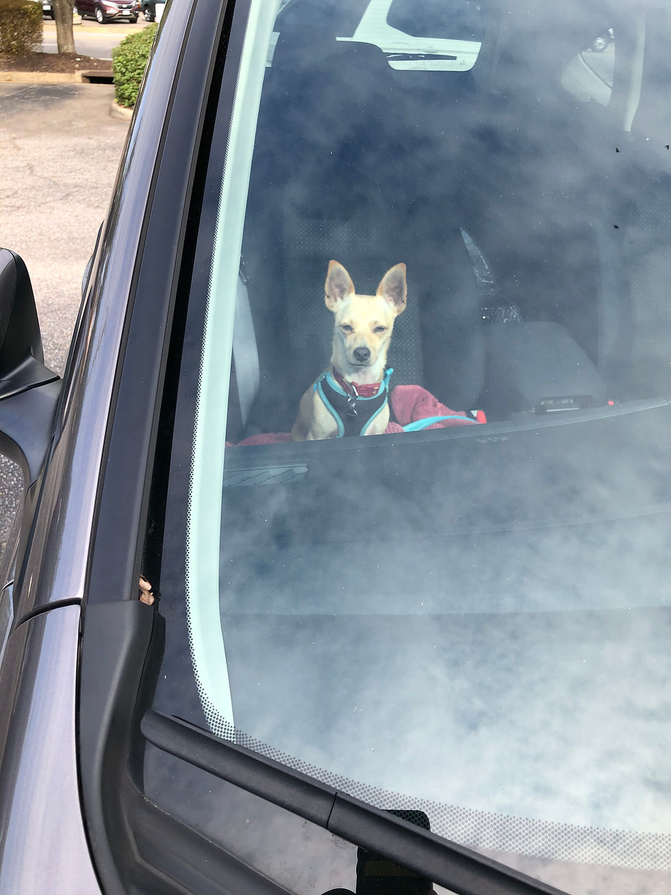 Put the brakes on driving!