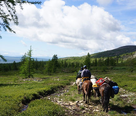Explore the essence of nomadic life in Mongolia through immersive experiences with herders and their customs.