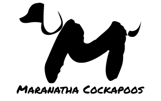 customLogo.png