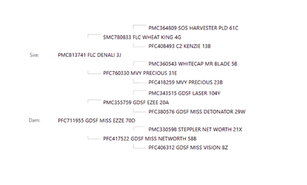 PEDIGREE SOC 49N.png