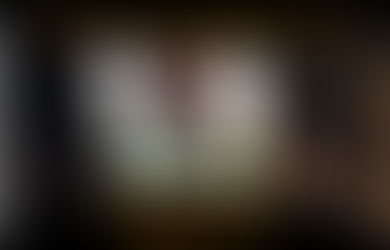 Trees Are People Too! By Krysta Bell