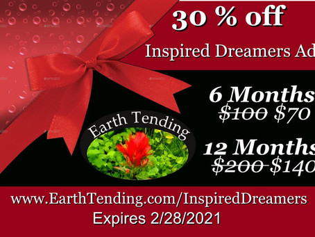 Feb. 2021: INSPIRED DREAMERS NEWSLETTER