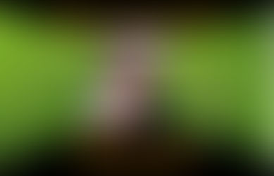 Gifts of Gratitude by Krysta Bell!