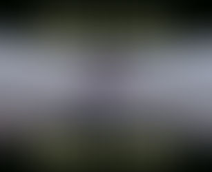 Happy & Free by Krysta Bell