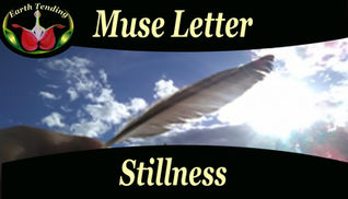 Stillness By Krysta Bell