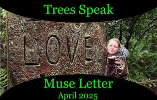 Trees Speak by Krysta Bell