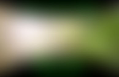 Fern Creek Valley by Krysta Bell