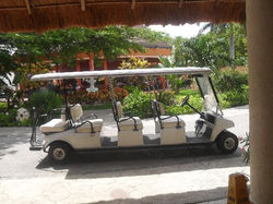 Golf cart
