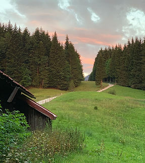 WhatsApp Image 2023-03-10 at 10.39.04 (1).jpeg