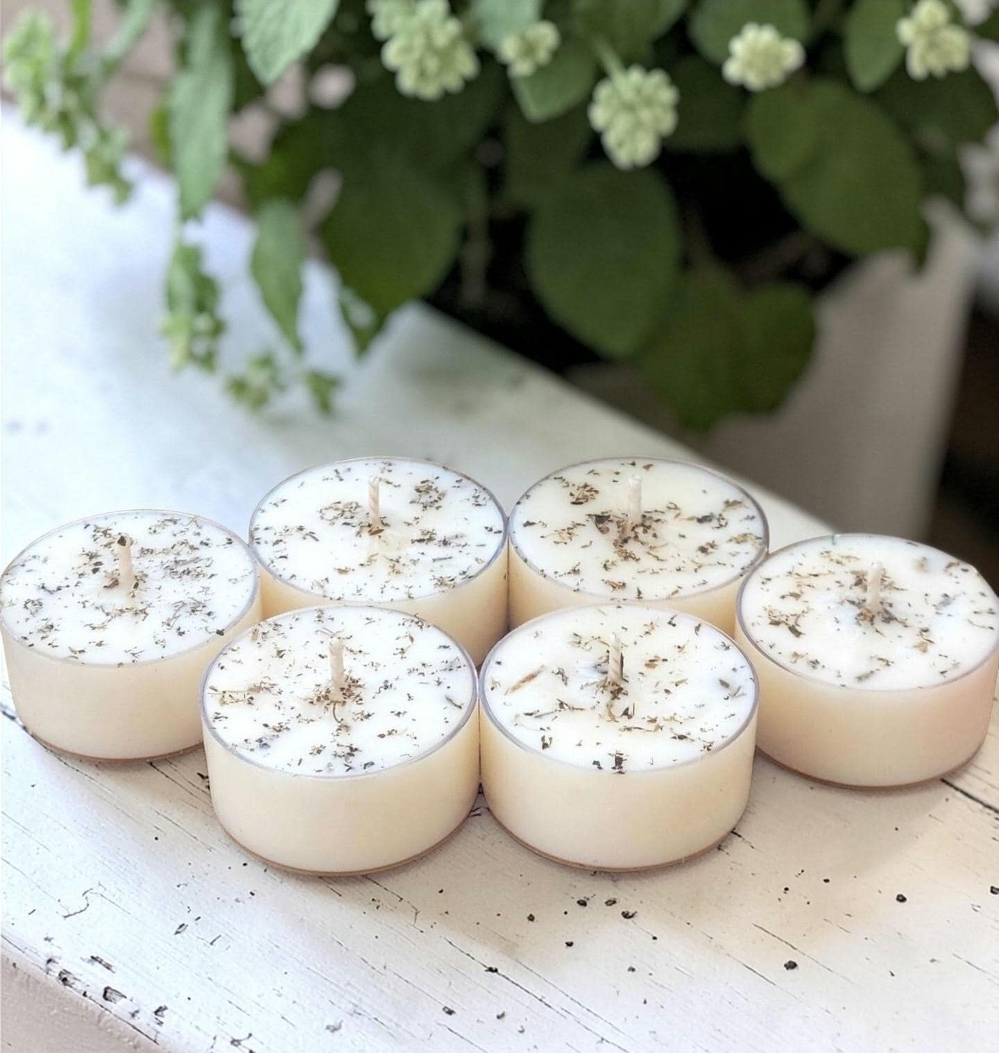 Fresh Garden Mint Soy Tealight Candles | Set of 6