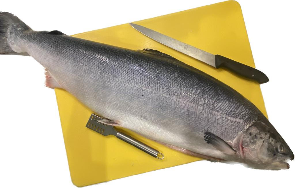 Свежая Семга Купить В Москве Недорого