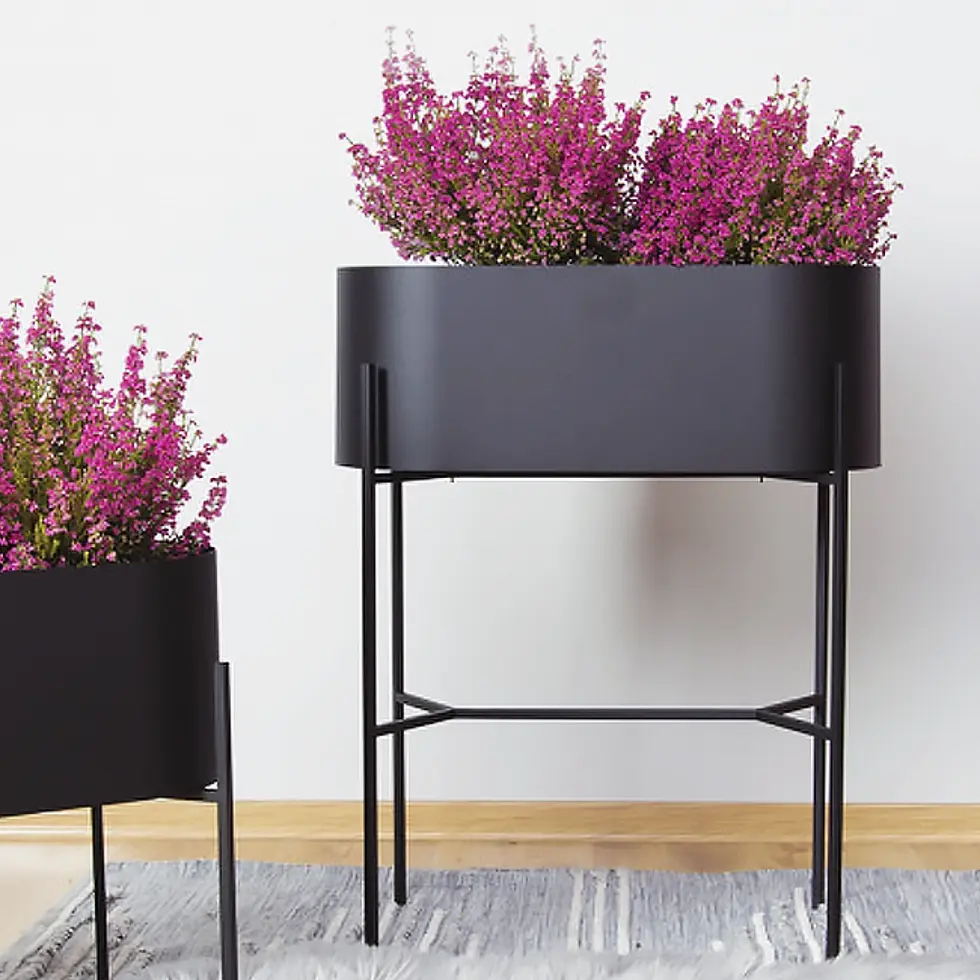 Miniatura: Jardineras Curvas