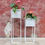 Miniatura: Porta-Plantas Altos estilo Industrial