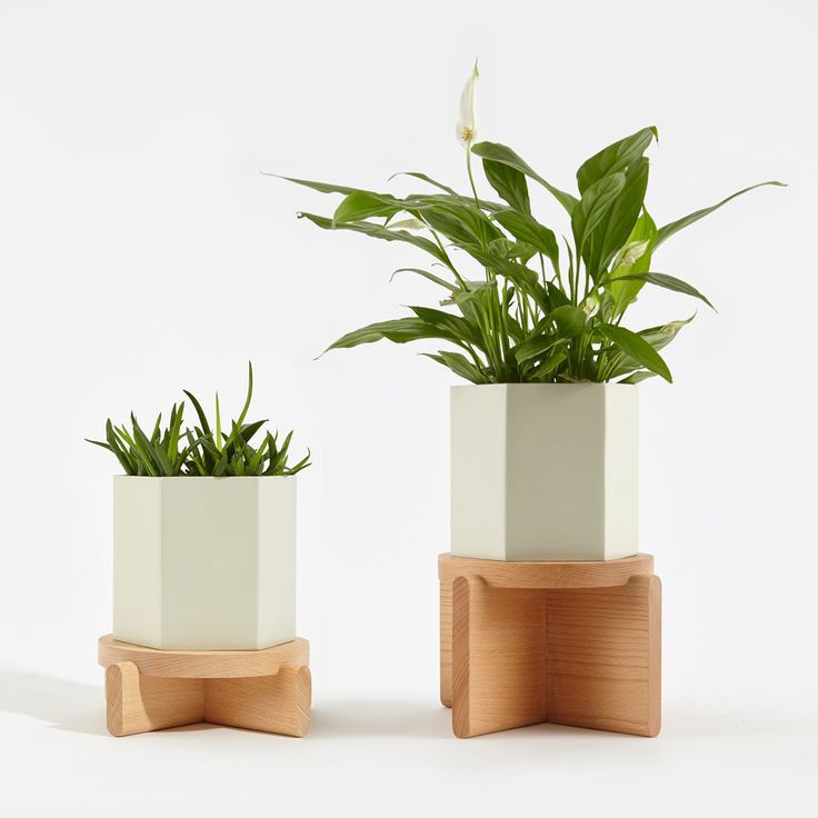 Miniatura: Bases de Madera