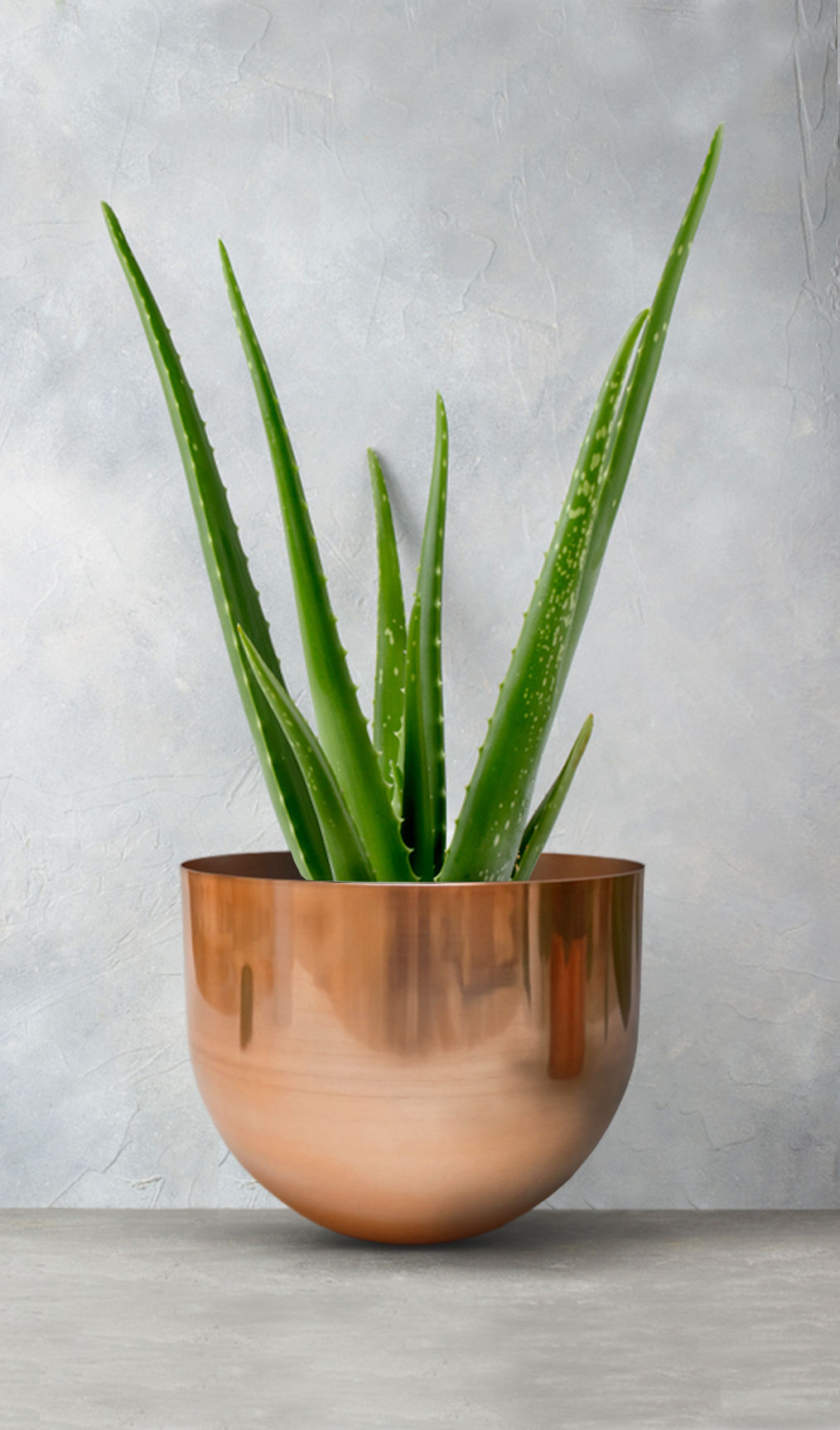 Recipiente Ovalo Decorativo