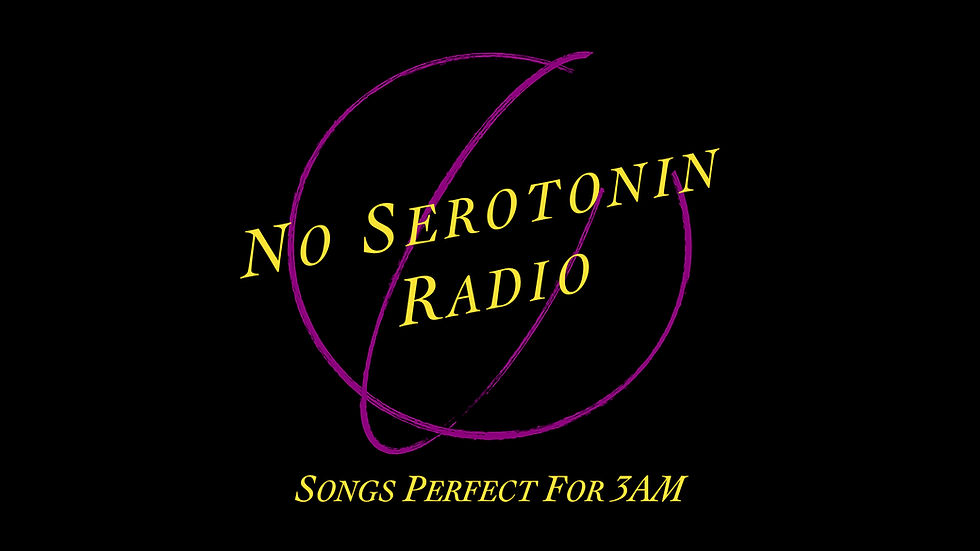 nsr banner.001.jpeg