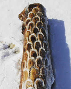 Winter carving