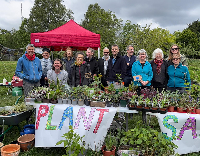 Friends of South Norwood Lake
