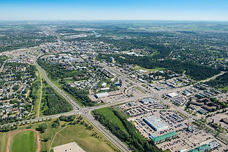 top view red deer.jpg