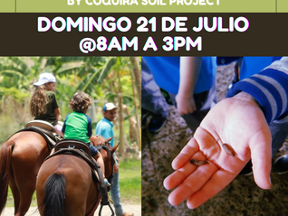 Día del Niño, Domingo 21 de Julio