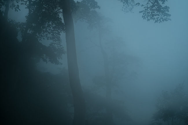 DSCF4750.jpg