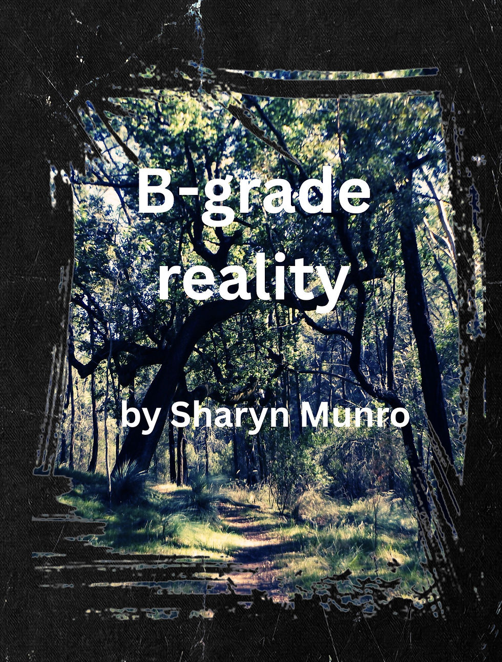 B Grade Reality by Sharyn Munro