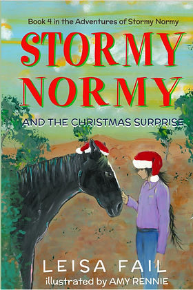 Stormy Normy Book 4.jpeg