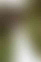 Prévia Casamento C&J-244.jpg