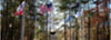 headley-website-dunwoody-veterans-memorial-project-hero-blur.jpeg