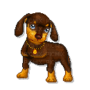 DOG.gif