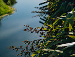 Te Awapuni Uri Engagement | Haerenga 27 APR 2025