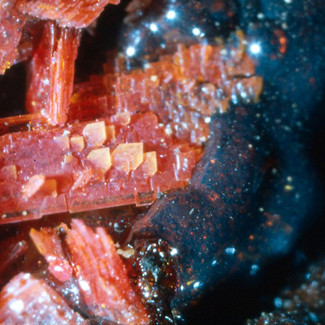 Realgar-La-Ricamarie